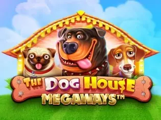 the dog house megaways